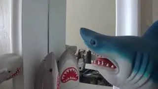 Shark time! Mirror Hack