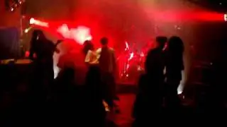 Seek and Destroy - Social Necrosis