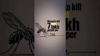 The Most Dangerous Animal || Learn Idea's For Great Life
