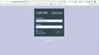 Canvas Reset Password