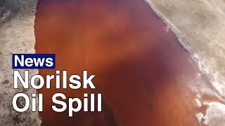 Fuel Spill in Russia&rsquo;s Most Polluted City Sparks Ecological Disaster | The Moscow Times