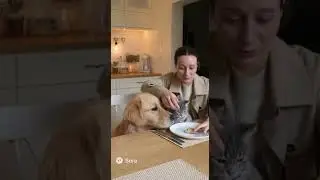 The Most Emotional Dinner You&rsquo;ll Ever See 😭🍽️ #shorts