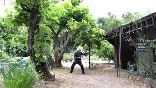 Bagua Zhang Changes