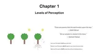 Ch 1 Levels of Perception