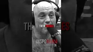The Future Distractions - Mark Zuckerberg & Joe Rogan - Inspomania