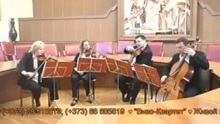 VIVO QUARTET - Puttin' on the Ritz