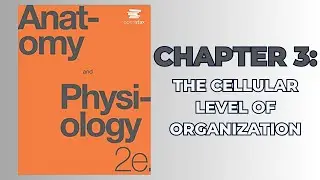 OpenStax Anatomy and Physiology 2e (Audiobook) - Chapter 3: The Cellular Level of Organization