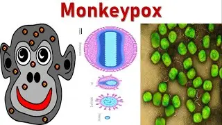 Monkeypox: An Evolution of Orthopoxviruses | Zoonotic Viral Disease | Rodents