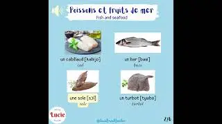 Fish and seafood 1/Poissons et fruits de mer 1