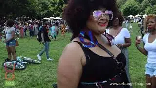 Curlfest 2017