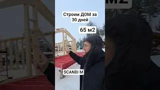 БЫСТРОВОЗВОДИМЫЙ ОДНОЭТАЖНЫЙ КАРКАСНЫЙ ДОМ В СКАНДИНАВСКОМ СТИЛЕ СКАНДИ М SCANDI M 6х12м ЛенСтройДом