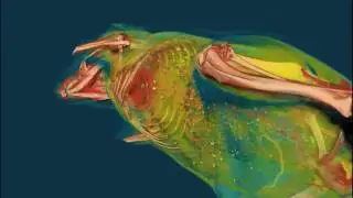 SkyScan 1276: micro-CT for preclinical imaging