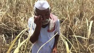 Jat Di Joon Buri babbu maan full audio song #support kisan protest