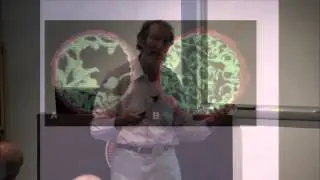 The Renormalisation Group and Scaling from Quarks to Jaguars - G. West - 12/10/2013