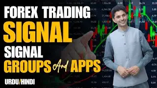 Forex Trading Signals groups and Apps | Tani Forex review in Urdu and Hindi for beginners traders