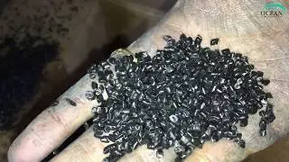 Plastic Reprocess Line