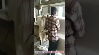 Auto Bale Weighing System