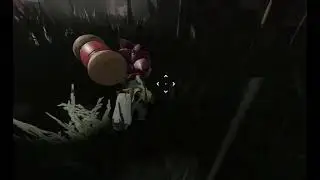 rei number 1 outcome memories amy main juking 1sobbe (gameplay ig)
