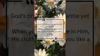 🕊️ Under His Wings | Psalm 91:4 | God Our Refuge #faith #bibleshorts #christianshorts