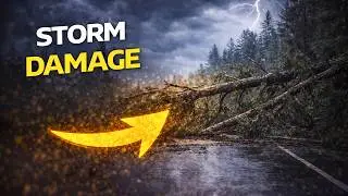 Шторм &laquo;Эми&raquo; уничтожил всё! 🌪 Деревья повалены по всей Норвегии
