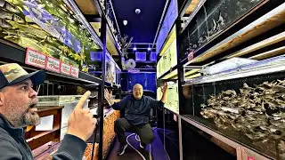 They Sell EVERYTHING at This Fish Store in Japan 😳🐠