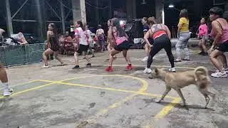 Osnat tiktok