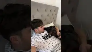 Canelo der 31er