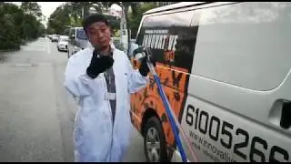 Hornet Treatment- Pest Control Singapore