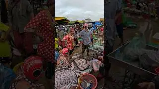 Busy Morning @ Fish Distribution Site #fishmarket #fishvideo