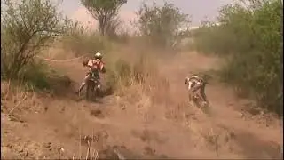 Team Daytona 2006