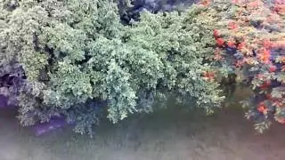 DFD F183 空拍測試 南投縣 新庄國小