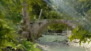 LUMION 10/11 || 4K CINEMATIC ANIMATION  || Back To Nature