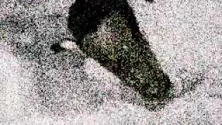 Tyler the creator falling from the sky but it&rsquo;s THE ACTUAL LOWEST quality