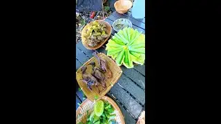 ផ្សងព្រេងក្នុងព្រៃអត់យកម្ហូបទៅទេរកអីបានហូបណឹងរកអត់បានហូបអំបិលហើយ adventure in forest no food taking