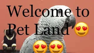 Pet Land in Vancouver BC