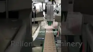 Caron box tamper evident sticker labeling machine #reliancemachinery #factory