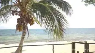 Beachfront Home , Belize For Sale, Placencia Peninsula.Buy Belize. Placencia. PyrateDroneVideo's.com