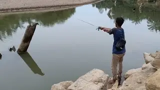 CASTING HAMPALA pakai minnow murah warna hijau tetapi killer