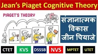जीन पियाजे theory in hindi || Cognitive development theory ||  Education world