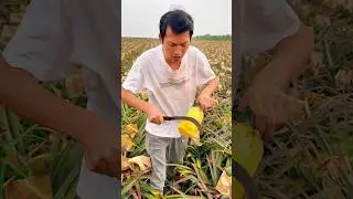 Juicy Farm Fresh Watermelon + Pineapple Cutting! 🌞 Summer Vibes #shorts #viralvideo #food