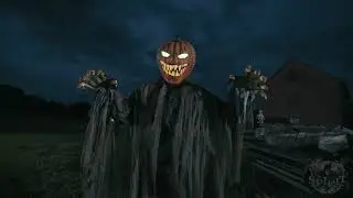 Pumpkin Patch Prowler - Online Video