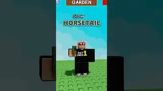 Uprawa skrzypu polnego w Grow A Garden