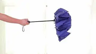 Umbrella Large Inverted Folding Umbrellas Windproof Compact Folding Auto open close 10 ribs  Reviews