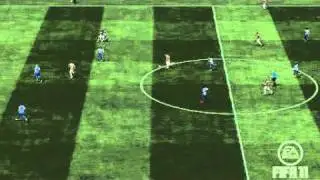 Fabio Rochemback Brasilver Goal