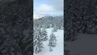 2024/2/29 山形 藏王溫泉