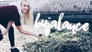 MI RUTINA DEL DÍA EN BUJALANCE, ESPAÑA (CÓRDOBA)