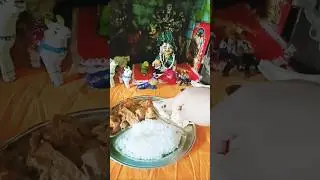 radhey radhey #krishnadevotee #trending #shorts #vrindavan #laddugopal #radharani #bhakti #devoti