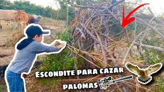 Nos fuimos a CAZAR PALOMAS y te ense&ntilde;amos c&oacute;mo hacer un ESCONDITE para CAMUFLARSE  (CARRACA)