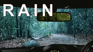 Rain Sounds: Sound of Rain, Nature Sounds, White Noise for  Sleeping Relaxation Meditation