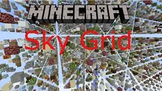 Minecraft Ps4 Sky Grid